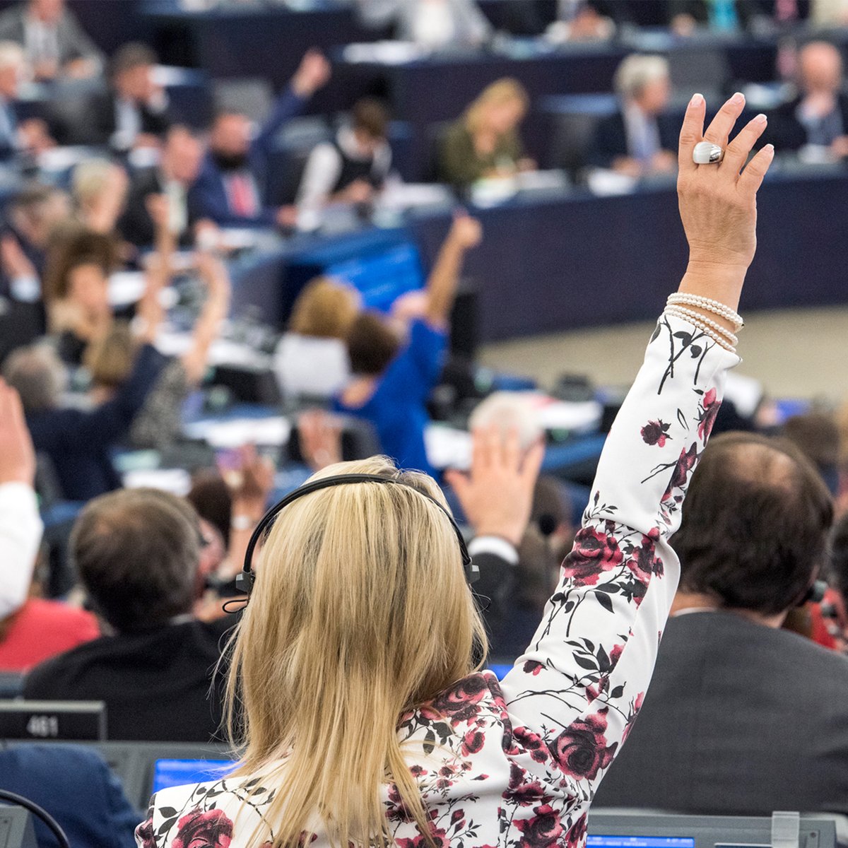 Europarl_EN's tweet photo. Now that you voted for them in June, it’s time for your representatives to start voting for you!

Discover how MEPs represent your interests through their activities and voting records, all available on Parliament’s website: https://t.co/FKtiXYlpDh https://t.co/I47x7ez2oC