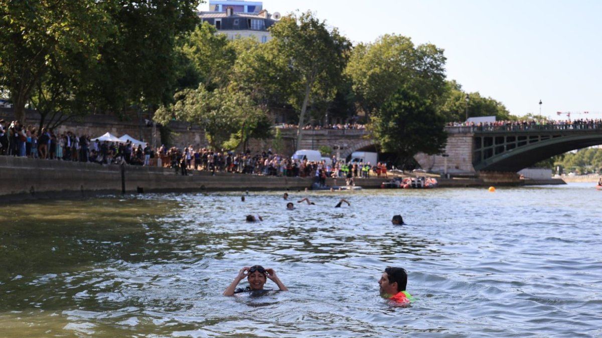marvismjacuzzis's tweet photo. Hasard ou pas, un des platanes rasé en juillet se trouvait là où les installations pour la baignade de Mme Hidalgo ont été placées, quai des Célestins
@ltdla @JCQDSE @BGianeselli https://t.co/5BtkJbNLDc