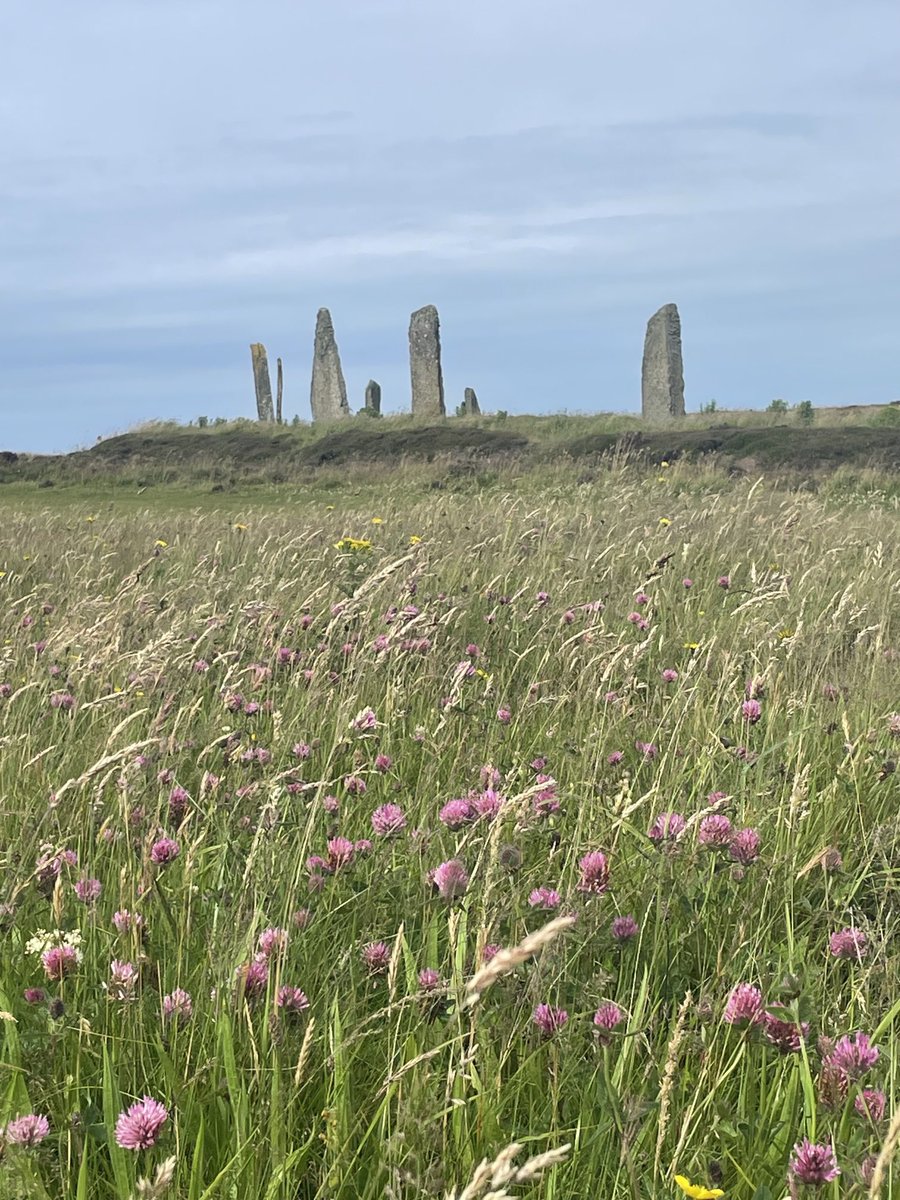Orkney Ranger Sandra tweet media