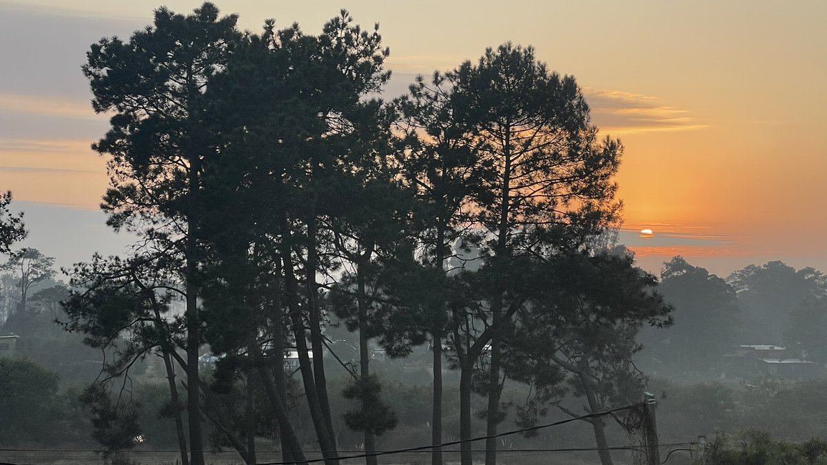 Daniel Monza tweet media