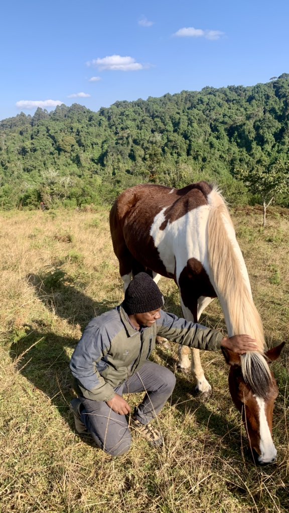 Ben Msangi 🇹🇿 tweet media