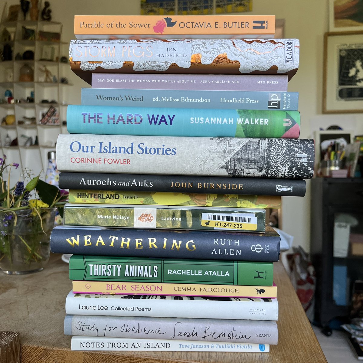 Amelia Hodsdon tweet media