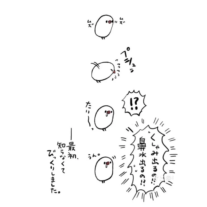 明日も20〜21時にイラスト投稿します🐦
『ぶんちょのくしゃみ』(再掲) 