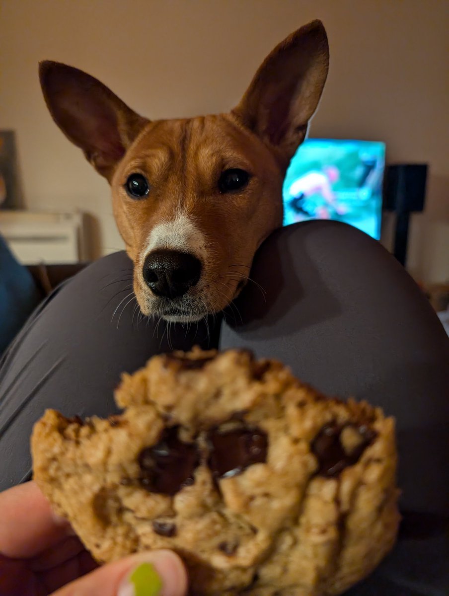 #couchpeloton #toursnacks #tourdog