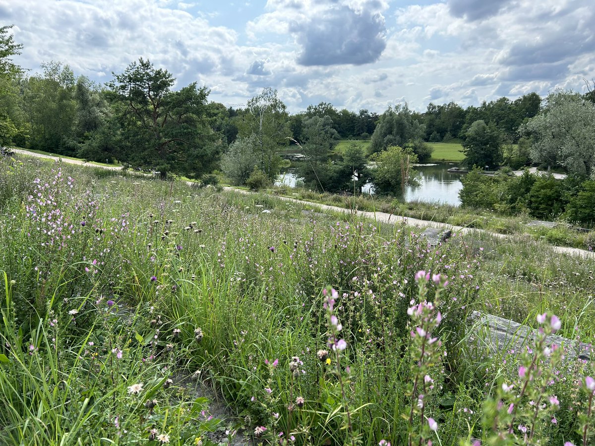 Devi Satarkar tweet media