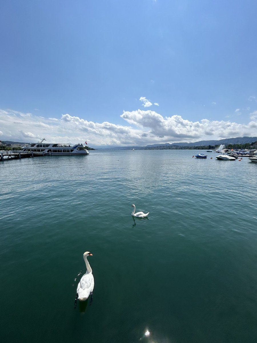 Devi Satarkar tweet media