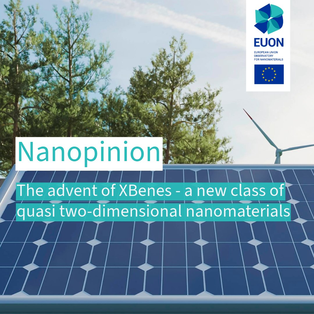 EU_ECHA's tweet image. Our latest #Nanopinion is now available! Dive into an informative read about XBenes, a new class of quasi two-dimensional nanomaterials, bringing forth a new paradigm in energy materials. #EUON

(add link)