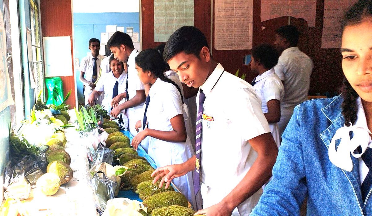 Educate Lanka tweet media