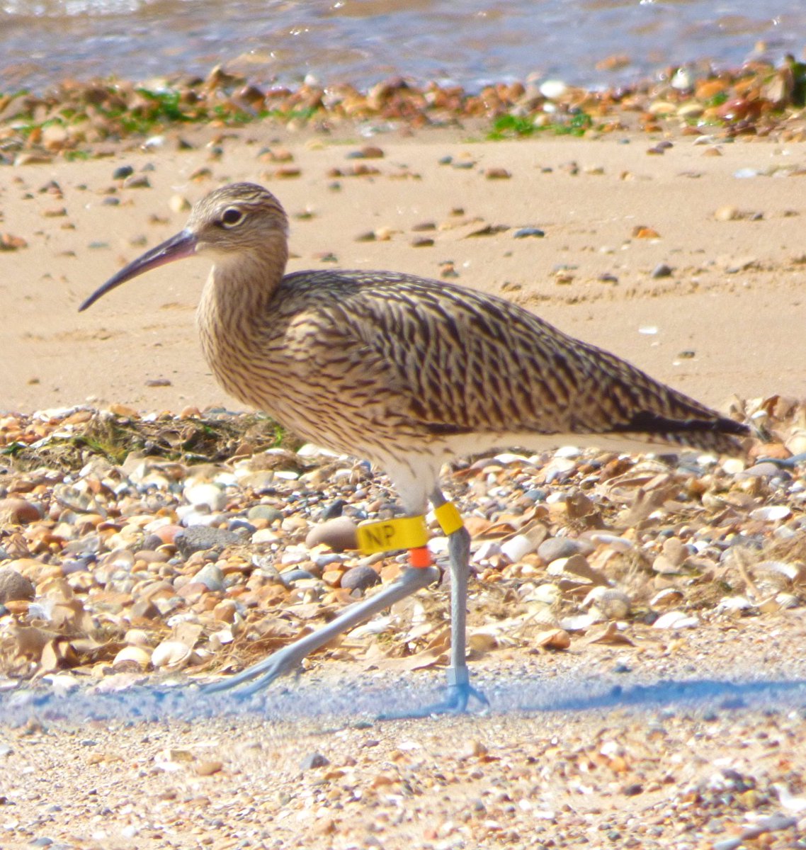 Paul M0XDX tweet media