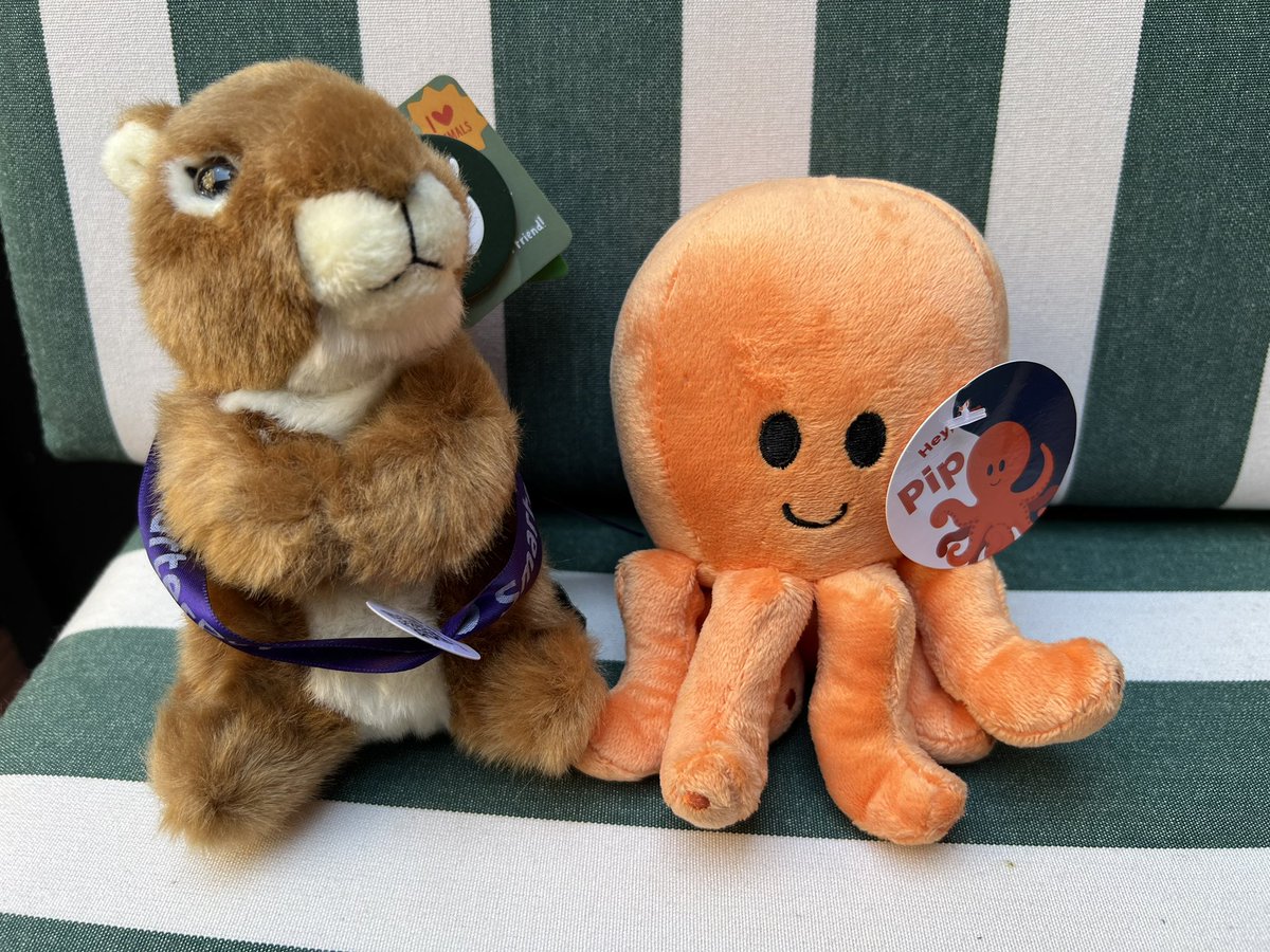 Two new plushies have entered the world of Salesforce. Meet Pip and Squirrel #LDNsCall #LC24