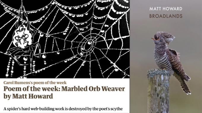 BloodaxeBooks's tweet photo. July news: https://t.co/FKKV7DJZMa
@marjorielotfi on @ForwardPrizes shortlist; @Idharker on @bbcworldservice; @LinesMigration @guardian Poem of the Week; @CommaJane on @PlanetPoem; @katiedon5 on @theshakingbog; Awards &amp; Honours: @nellivory, @JessicaTraynor6 &amp; @poetclare https://t.co/qvSVIiM53X