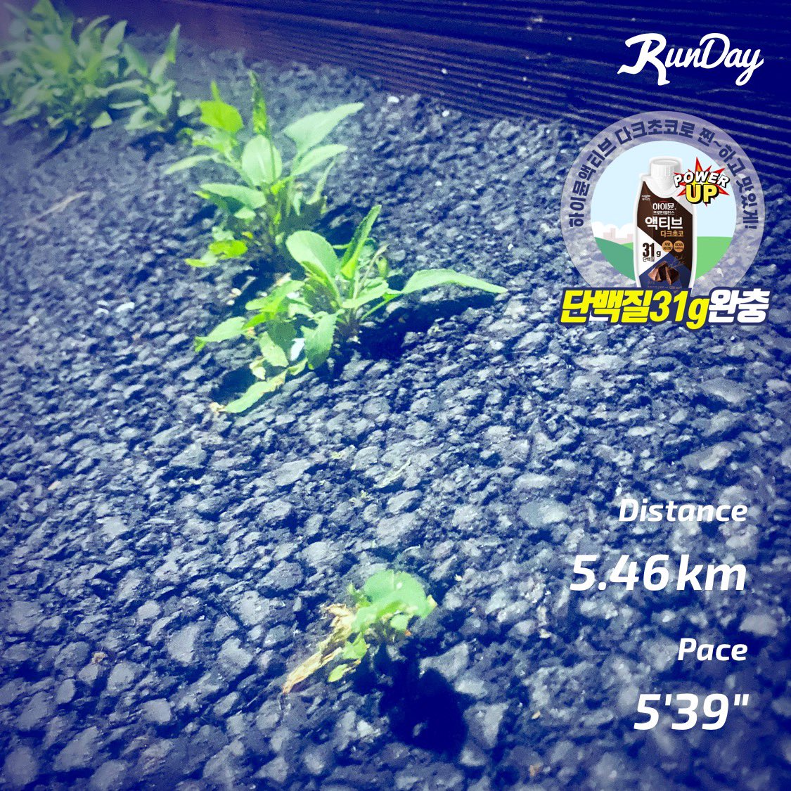 herbitanz tweet media