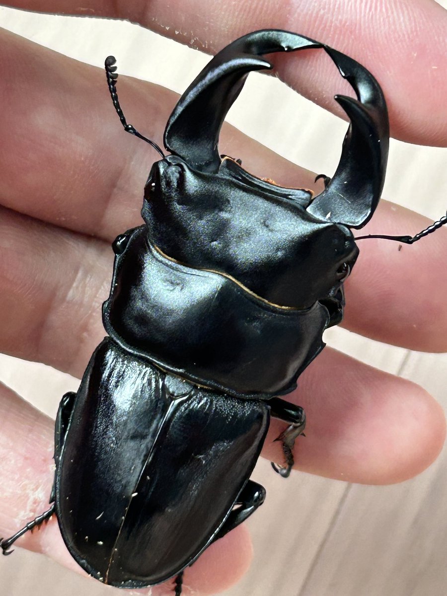 久しぶりの投稿★ＧＴ★