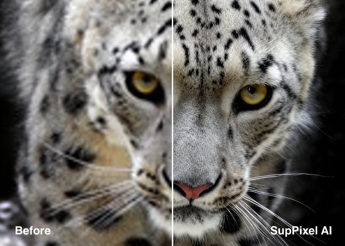 SupPixelAI's tweet photo. 🚀 Excited to announce the launch of SupPixel AI! 🌟 Your ultimate solution for high-quality image processing and upscaling. Developed by top scientists, SupPixel AI delivers unparalleled image enhancement with cutting-edge AI technology.
https://t.co/nLN3FX1YHw https://t.co/n1m2xiDmZQ