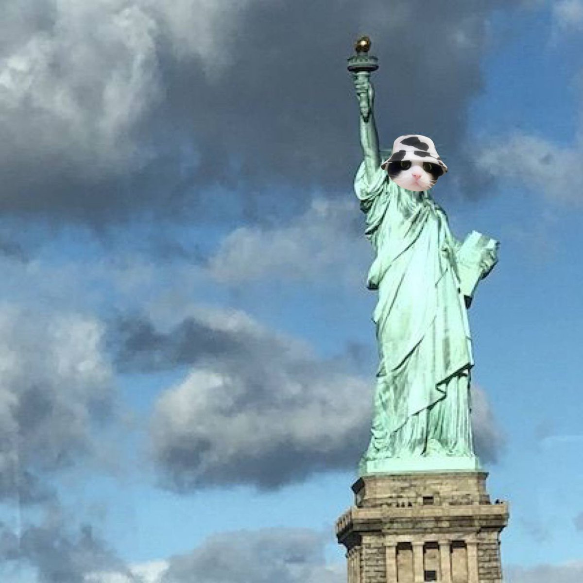 xiaweb3's tweet photo. $MooCat isn't just any cat, it's a memeable feline wearing a cow bucket hat!

Join @MooCatSolana fun-loving community of cat enthusiasts and experience the purr-fect blend of cuteness and potential for massive gains! 

Don't miss out on the moo-vement – get your paws on $MooCat now!

🔑FuLH3f9TPxiLNojPBZxfaT5Rb5VFfia8hMzLo9e9c6CG
🌐 https://t.co/JIyIRH1G27