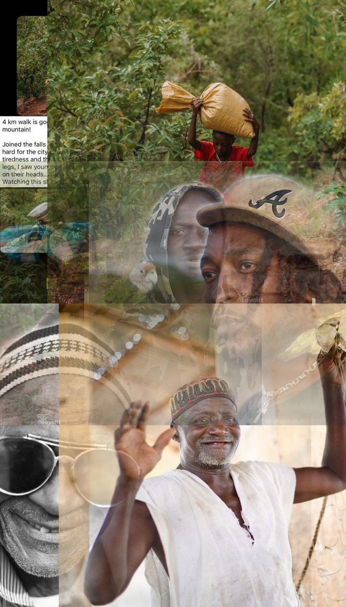 bakzfofi's tweet photo. #AdventureCollection
#PhotoOfTheDay
#TheGambia
#Senegal https://t.co/54I5HvkuGr