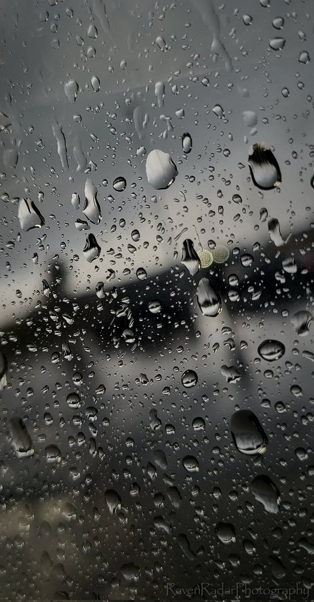 Raven_Radar's tweet photo. Rainy day. 
#photograghy https://t.co/AfiJtB7XzL