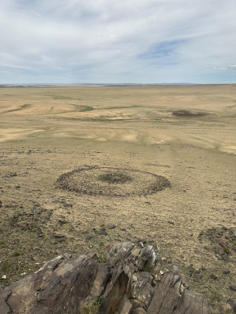 MAPSS_Project's tweet image. MAPPS team in the field documenting #mongolianarchaeology at the volcanic site of Övörkhairkhan, Övörkhangai Aimag. This site is endangered by looting and erosional and seismotectonic activities.
#bronzeagecemetery
#khirigsuur
#rockart
#endangeredarchaeology
#digitalarchaeology