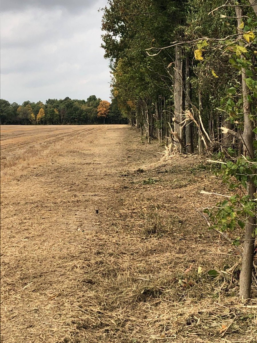 swbrushcontrol's tweet photo. If your wheat or hay is off and you are thinking you would like a quote to get your field boundaries cleaned up, give me a call. We will travel.
519-808-7922 https://t.co/Fbce5BTgqh