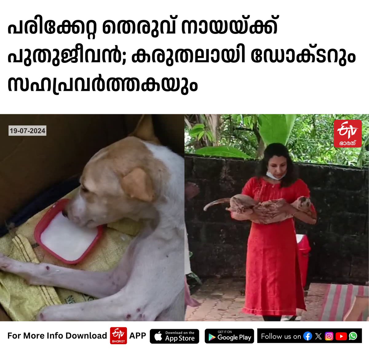 ETVBharatKL's tweet image. Read Here : etvbharat.com/ml/!state/dent…
#doglover #rescue #dentaldoctor #Kasaragod #Etvbharatkerala