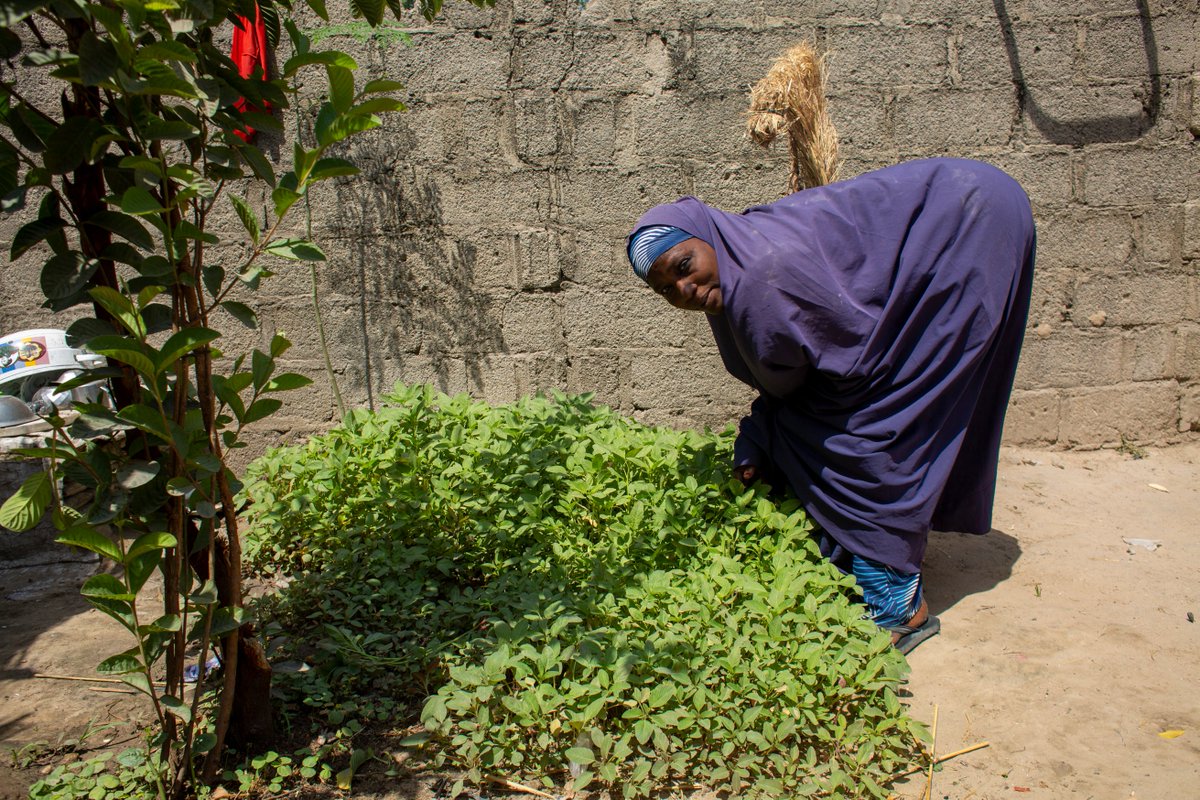 Thank you #France 🇫🇷 for your unwavering support in the fight against hunger. 

Your generous donation will provide vital nutrition assistance to mothers &amp; children, e-vouchers for vulnerable households, and help establish home gardens in northeast #Nigeria🇳🇬