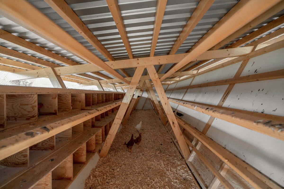 Maderayconstruc's tweet photo. CASA DE LAS GALLINAS 👉 https://t.co/YVtmMXgnxY

#Arquitectura SO? Architecture&amp;Ideas 📸 ALİ TAPTIK y SO? #Arquitecturademadera #MaderayConstrucción https://t.co/53f1HjiTsh
