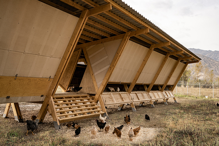 Maderayconstruc's tweet photo. CASA DE LAS GALLINAS 👉 https://t.co/YVtmMXgnxY

#Arquitectura SO? Architecture&amp;Ideas 📸 ALİ TAPTIK y SO? #Arquitecturademadera #MaderayConstrucción https://t.co/53f1HjiTsh