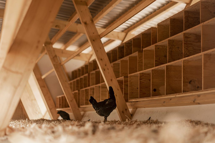Maderayconstruc's tweet photo. CASA DE LAS GALLINAS 👉 https://t.co/YVtmMXgnxY

#Arquitectura SO? Architecture&amp;Ideas 📸 ALİ TAPTIK y SO? #Arquitecturademadera #MaderayConstrucción https://t.co/53f1HjiTsh
