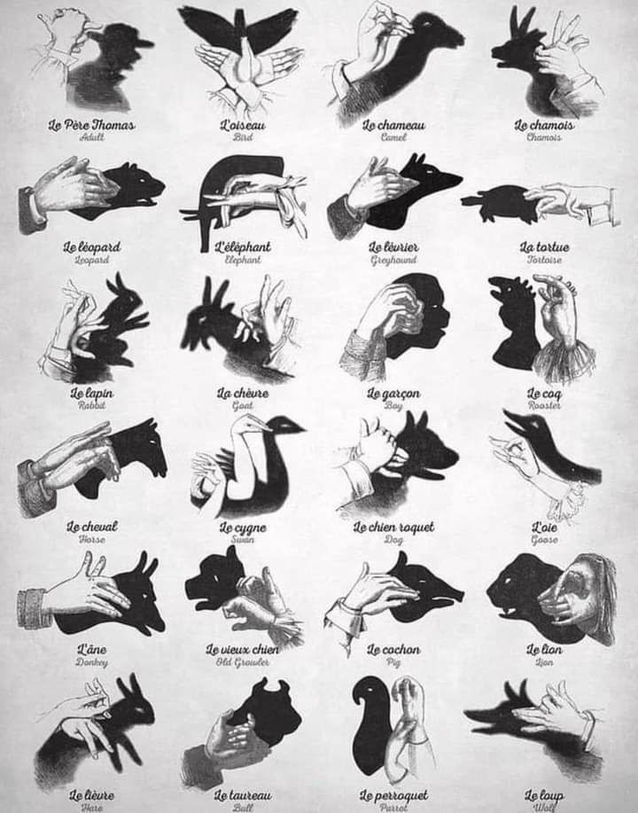Youridefou's tweet photo. Si vous voulez apprendre à faire des ombres 
chinoises. De rien 🙂 https://t.co/INvwFHjNBt