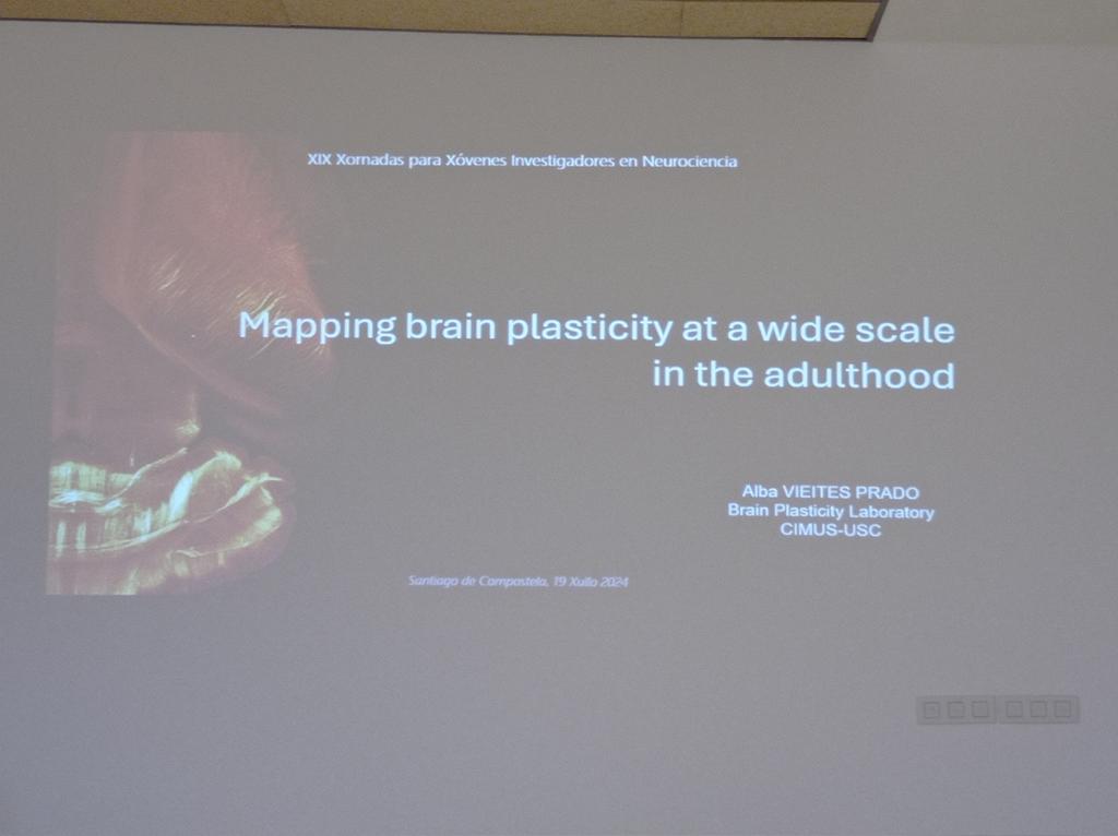 Doctorado en Neurociencia y Psicología Clínica tweet media