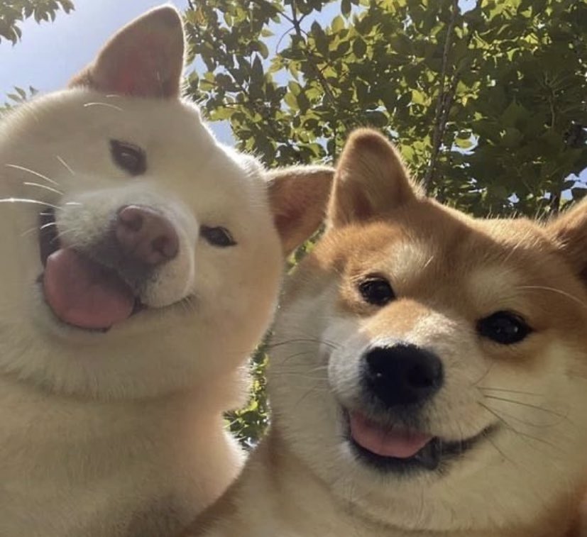 Gemini's tweet photo. There is no post. Happy Friday ☀️ https://t.co/DABgwFTq2D