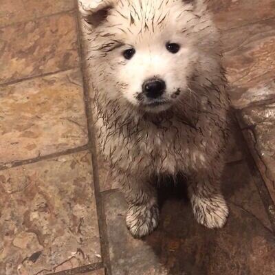 takemybear 🐶 tweet media