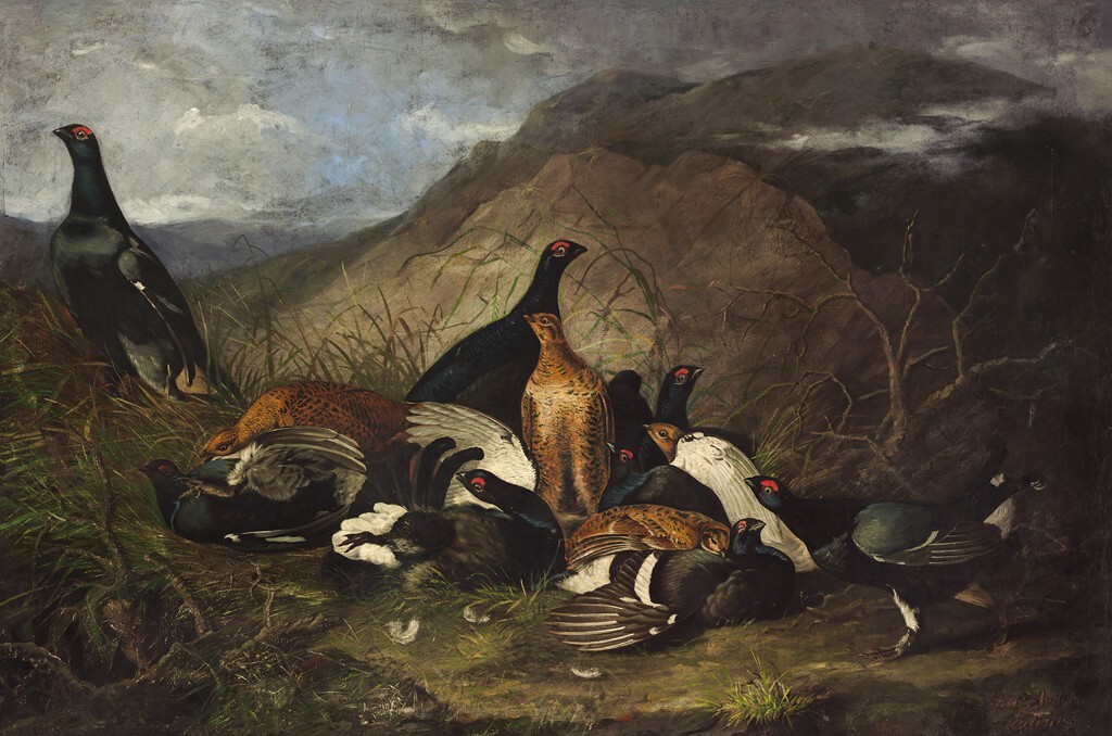 ArtistAudubon's tweet photo. Black Cocks https://t.co/kU7nTnJKRb https://t.co/CEVOAeH5ds