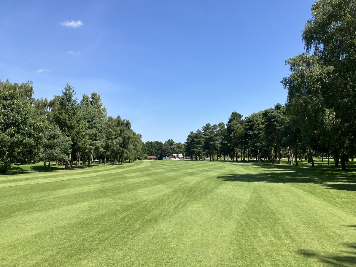 Tom Barnett tweet media