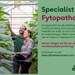 Photo by Joke Klap (@JokeKlap)