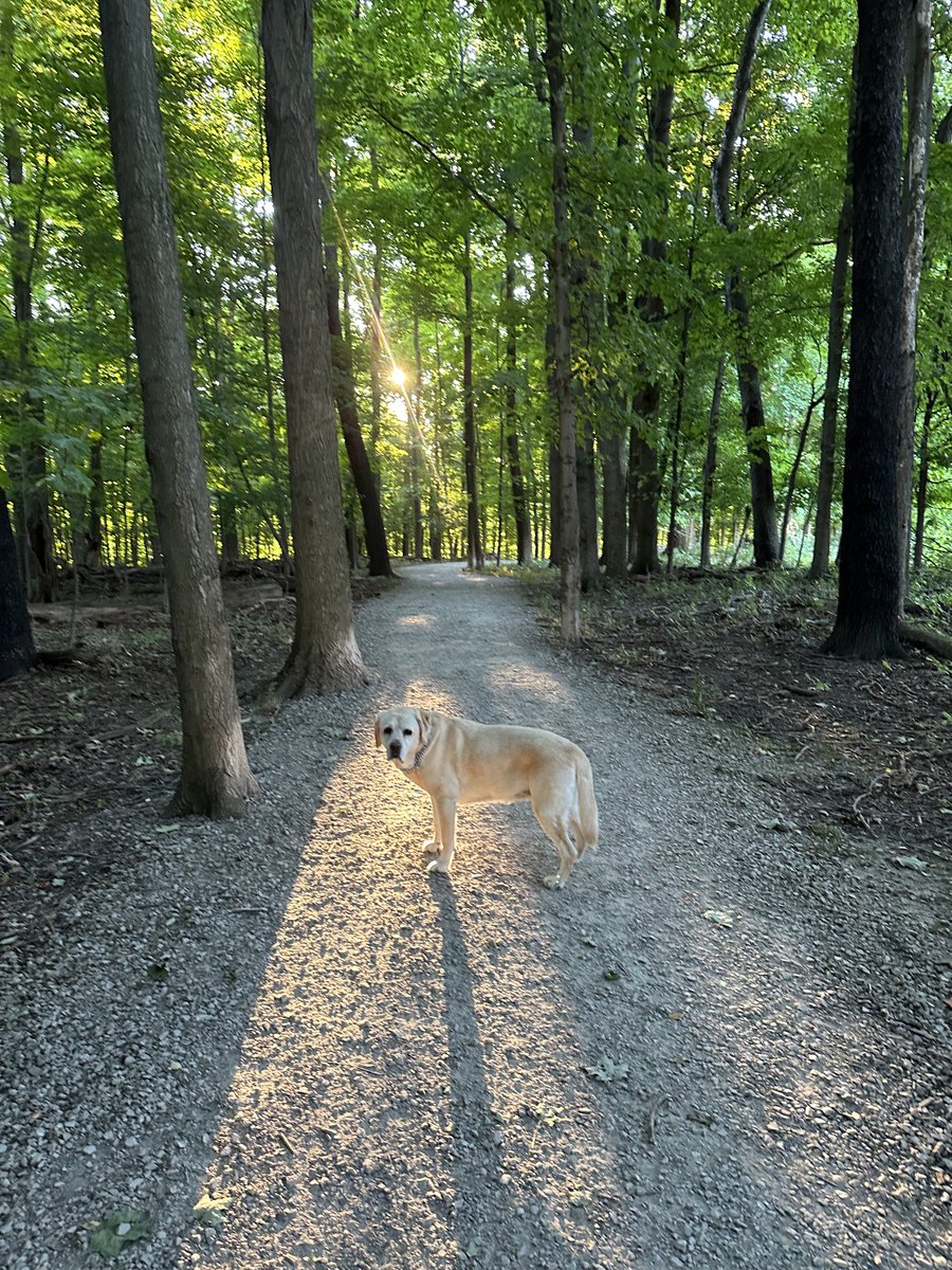 xvermonter61's tweet photo. A beautiful start to our FriYay! The weekend is right around the corner! Have a pawsome day! #DogsofTwittwr #FriYay https://t.co/m76BedIfAp