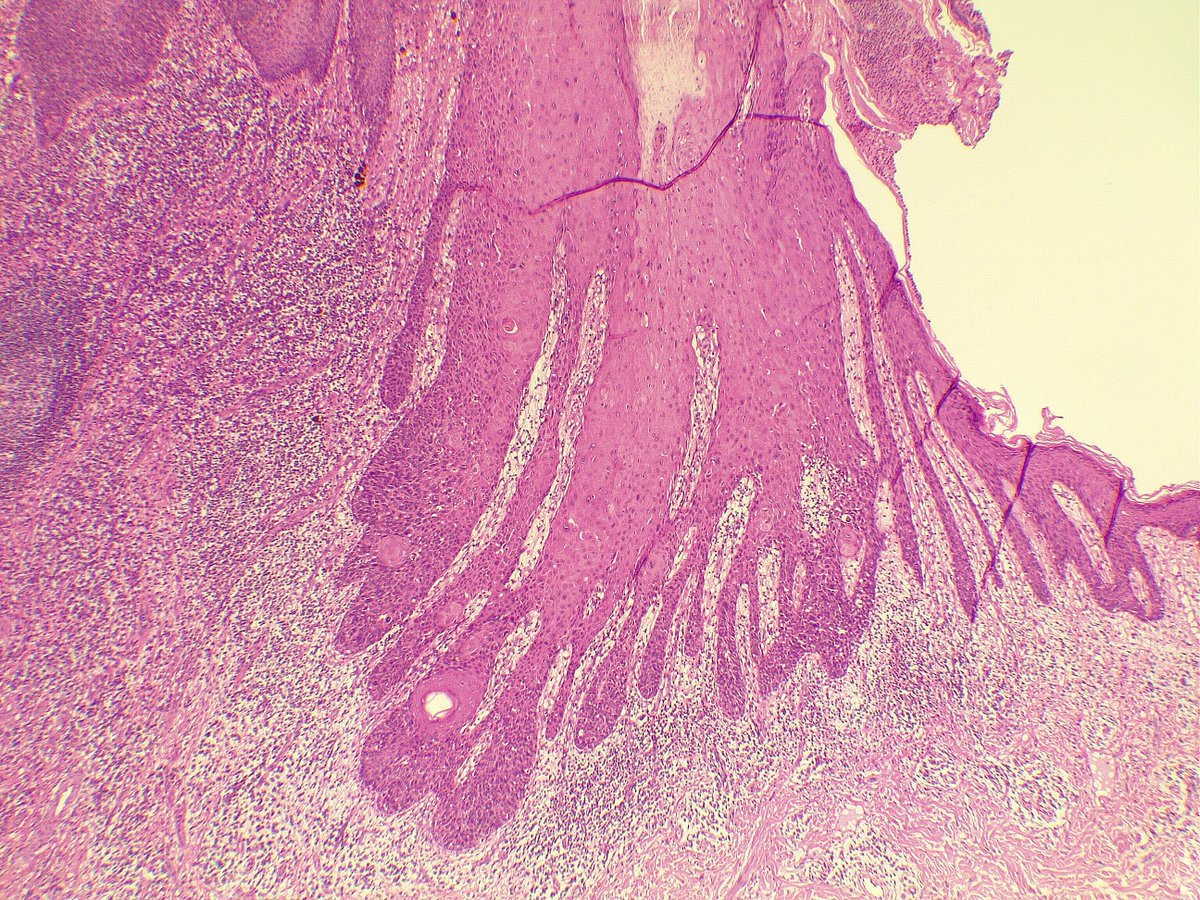 Rawa Muhsin tweet media