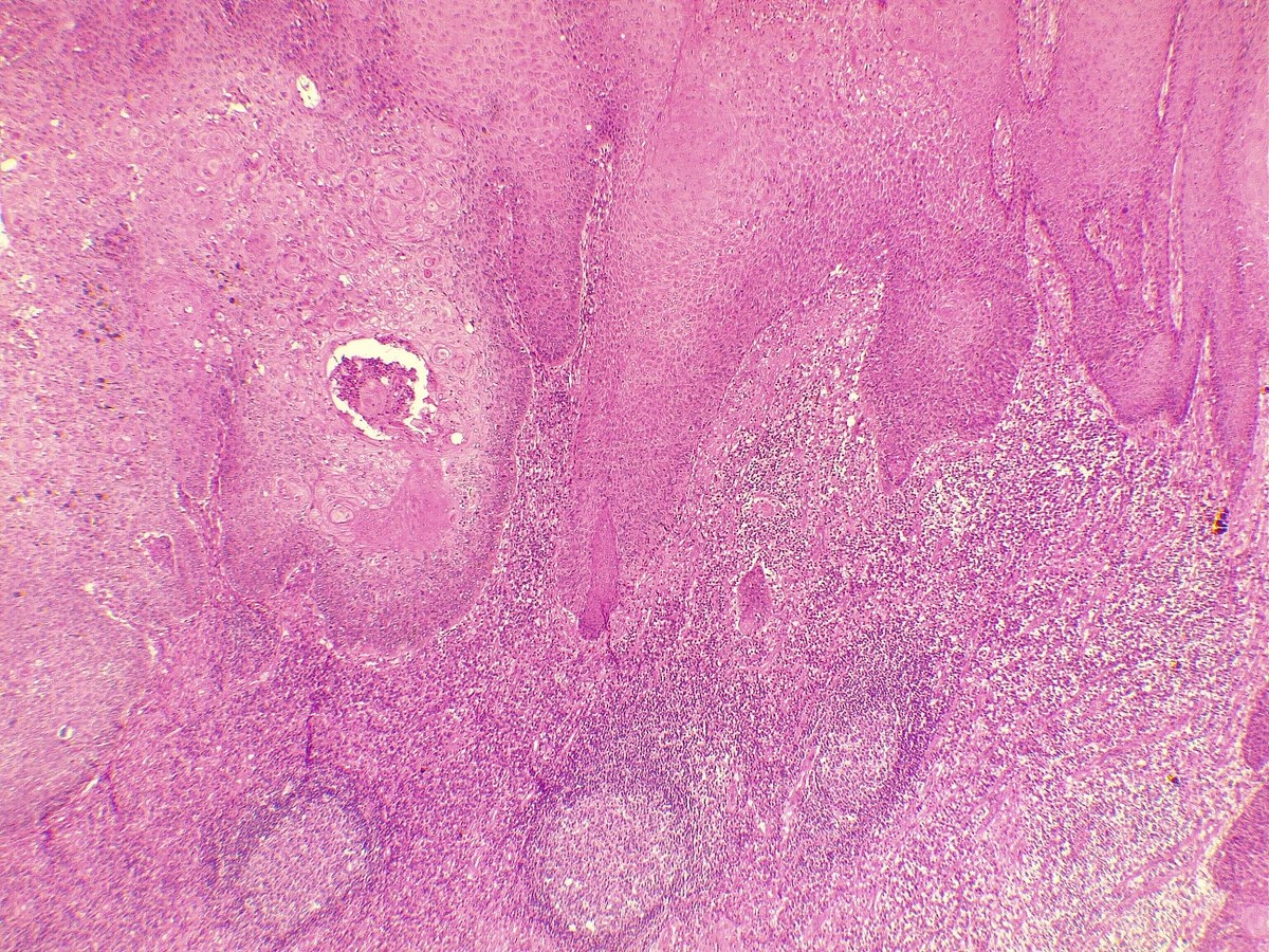 Rawa Muhsin tweet media