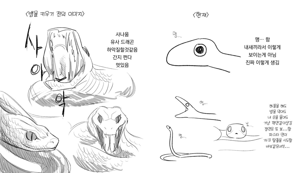 비얌에 대한 이미지 변화…