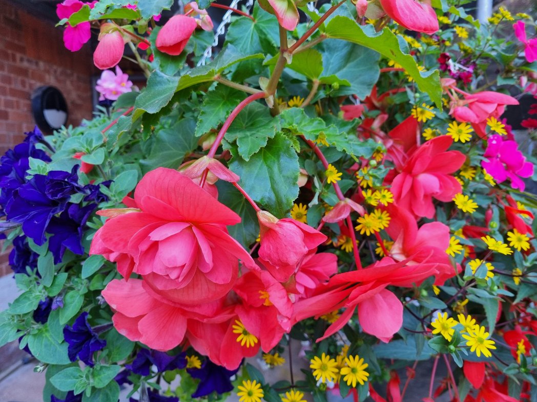 The Revd. Ash Leighton Plom tweet media