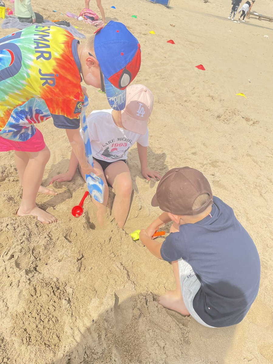 Cleves Cross Primary tweet media