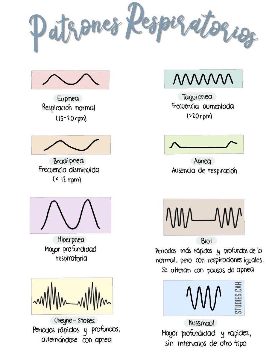 Patrones respiratorios debes recordar: