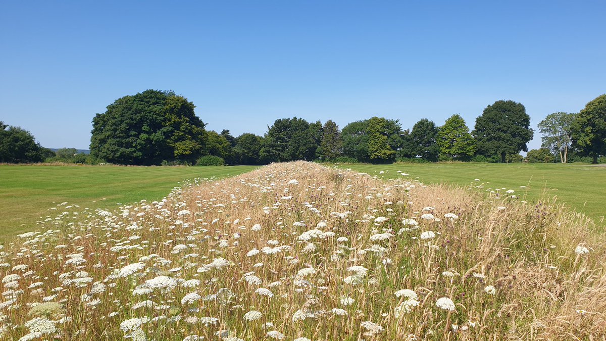 No Longer a Grounds Munkey (@groundsmunkey) on Twitter photo 