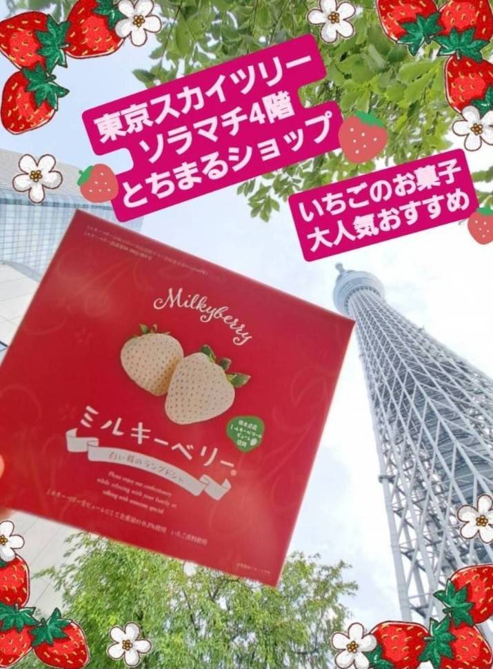 tochimarushop's tweet photo. とちまるショップいちごのお菓子大人気商品🍓
「ミルキーベリー白い苺のラングドシ��」かわいいいちごのデザイン🍓
おしゃれな個別パッケージ🍓
おやつやお土産におすすめです🍓
10個入り760円🍓
#とちまるショップ
#スカイツリー
#ソラマチ
#東京
#アンテナショップ
#栃木県
#いちご
#ミルキーベリー https://t.co/W7ByjOO4dI