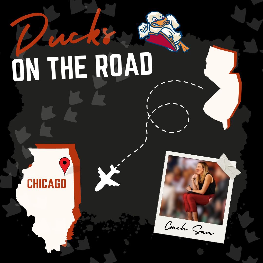 StevensWBBALL tweet media