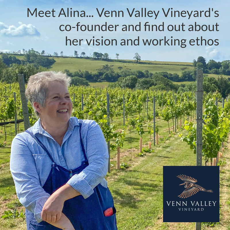 VennValley's tweet photo. Meet Alina! You can find out more about Alina's journey and background in starting their beautiful Devon vineyard on our website: https://t.co/8c1t7BnRh8 or come for a Vineyard Tour! Book online here https://t.co/G6A6BYXTvN

#foodanddrink #winelovers #conservation #sustainability https://t.co/XBcOQTlzvK