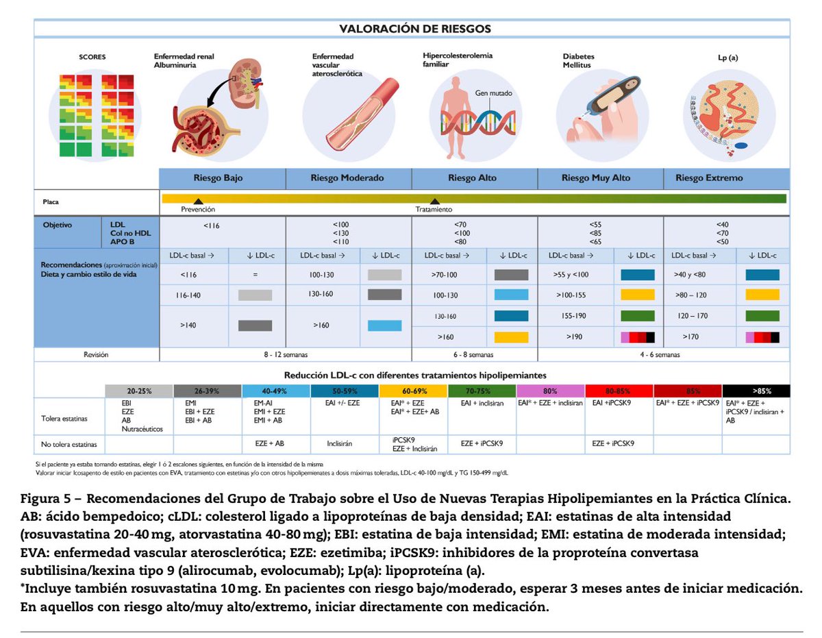 ValleAlfonso's tweet photo. 📍Uso de nuevas terapias hipolipemiantes
en la práctica clínica. Consenso @secardiologia @sea_es @sociedadSEEN @SEMERGENap @SEMG_ES @seneurologia @seacv_esp 

📁 https://t.co/wrAzHpohfS https://t.co/avEW0lvhV2