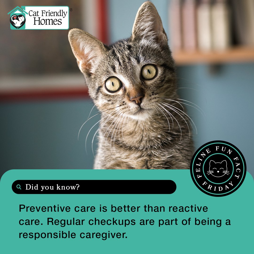 CatVets's tweet photo. Regular checkups are part of being a responsible caregiver. They can help avoid medical emergencies by detecting conditions or diseases before they become significant, painful, or more costly to treat. Learn more at https://t.co/XV8IMuP70V.

#FelineFunFactFriday #CatFriendlyHomes https://t.co/G9Xq1W8lRx