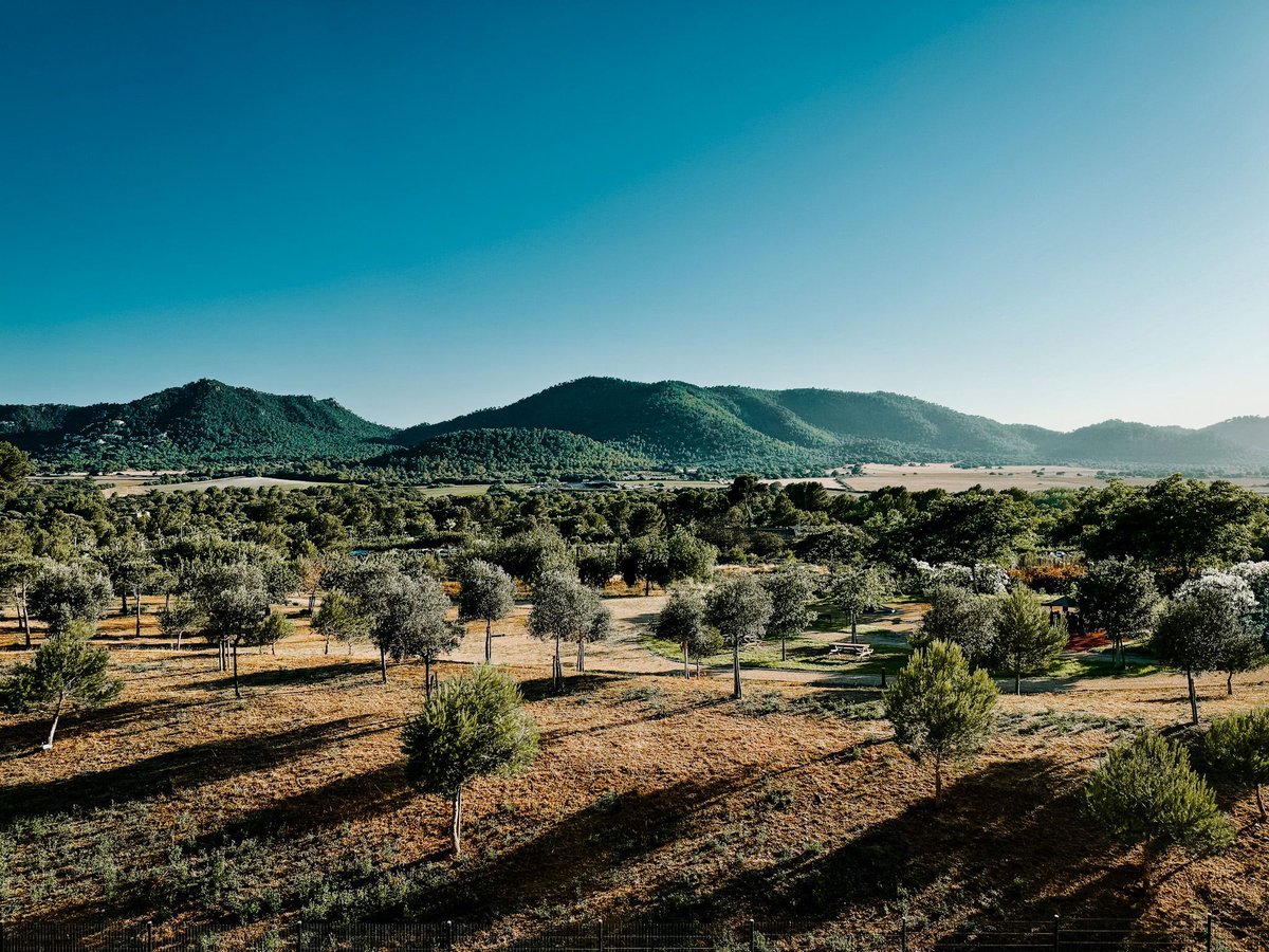 Feeling weary? 

This week, I was running around like a headless chicken. From coaching calls to lunches to masterminds, the weariness set in. 

What was the one thing I needed to restore my equanimity? 

It's in this week's 🌱 Effortless Thursdays 🌱. Link in the usual place!