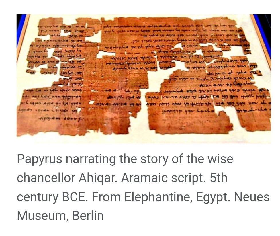 Echo Papa 𝕏 tweet media